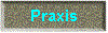 [ Praxsis ]